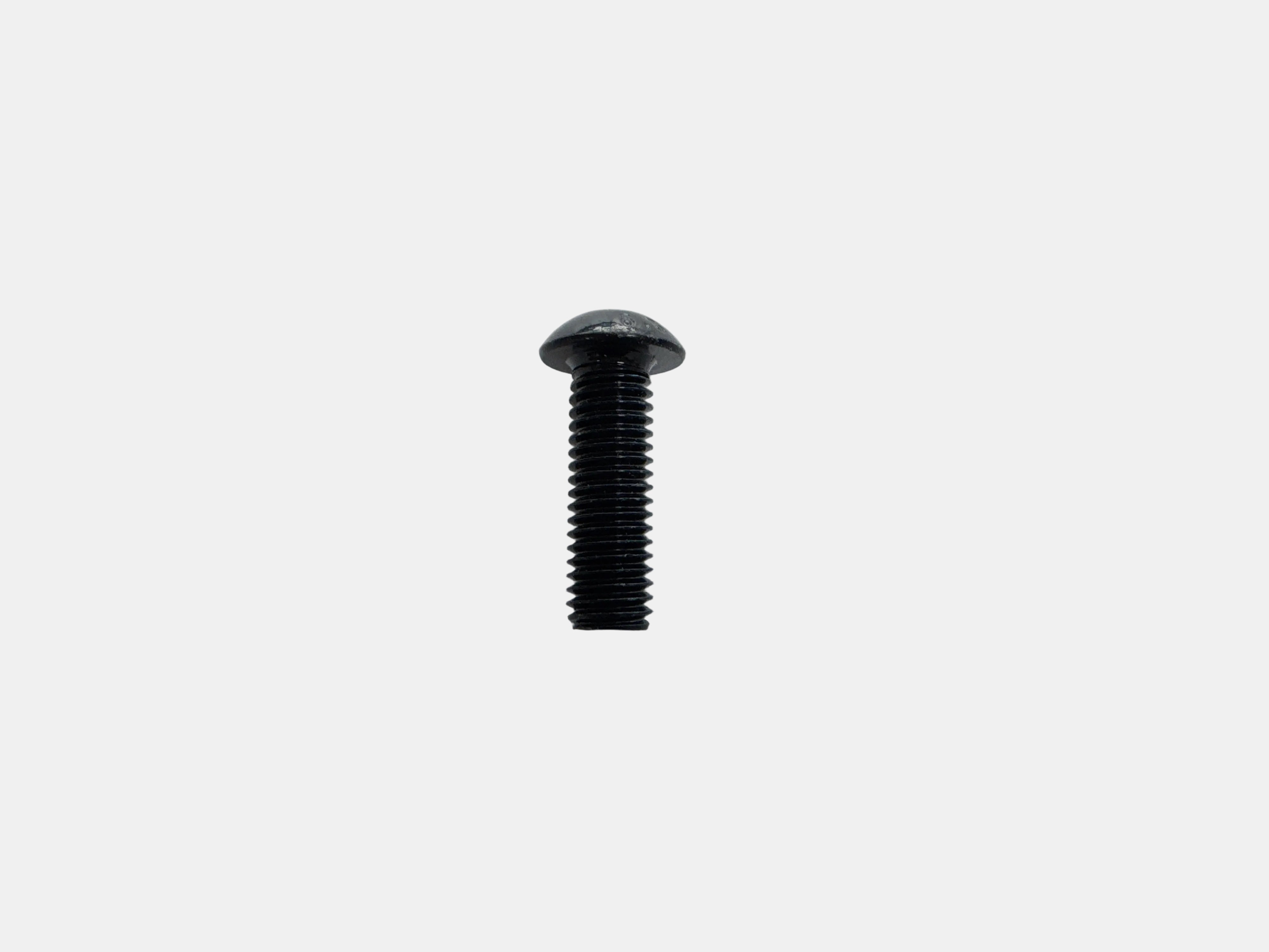 A single black metal screw with a flat round head, shown vertically on a plain light gray background.